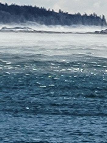 Ocean Point. Dan Gardner photo