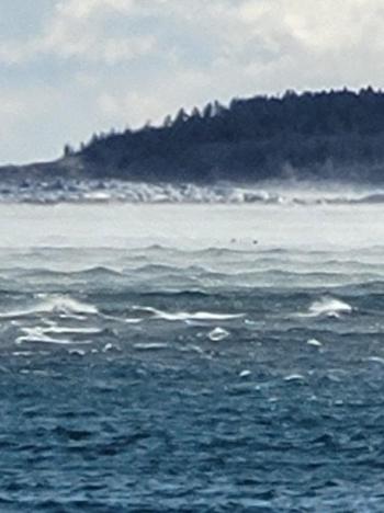 Ocean Point. Dan Gardner photo