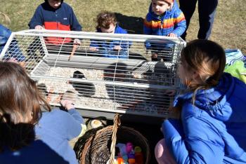 Bunny love on Easter Eve. LISA KRISTOFF/Boothbay Register