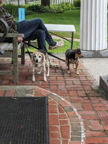 CANDI JONETH/Boothbay Register