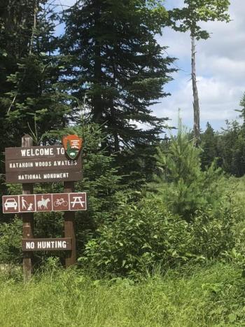 #bird-column, #katahdin-woods-and-waters-national-monument, #jeff-and-allison-wells, #birds, #boothbyay-register, #maine
