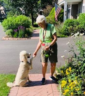 “Stepping it Up” awardees LincolnHealth Volunteer Patty Colhoun and her therapy dog, Daphne. Courtesy photo