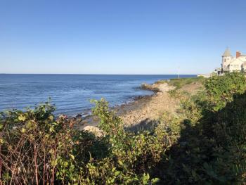 Twenty semipalmated plovers rested on the rocks below the Marginal Way path in Ogunquit on their migration south from northern Canada on a late-August day. Courtesy of Jeff Wells. #bird-column, #boothbay register, #Jeff and Allison Wells, #birds, #maine, #Ogunquit