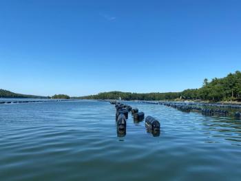 Celebrate summer’s end with KELT at Eros Oysters for a aquaculture farm tour and tasting on Saturday, Sept. 9 at 2 and 4 p.m. and support KELT’s work across the Kennebec Estuary. Courtesy of Eros Oysters