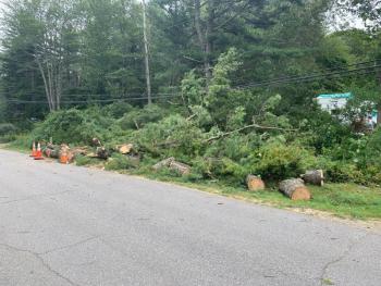 The pine tree on Back Narrows Road leans on power lines. KEVIN BURNHAM/Boothbay Register