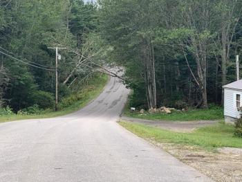 Two trees rest on power lines on Back Narrows Road, Boothbay during Saturday’s storm. KEVIN BURNHAM/Boothbay Register