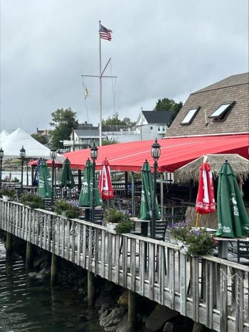 Brady’s canopy. Courtesy photo