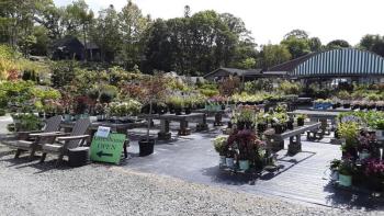 Lots to secure from the wind at Conley’s. JANE CARPENTER/Boothbay Register