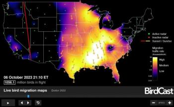 BirdCast predicts the volume of birds migrating each night across the U.S., from August through November. This image shows a night a few days ago in which BirdCast predicted there were more than a billion birds flying at night across the U.S. #bird-column, #boothbay register, #jeff and allison wells, #maine, #birds, #timber point, #birdcast