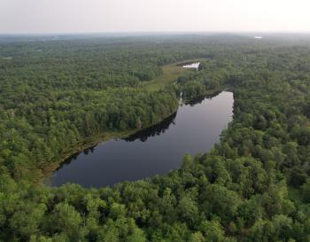 The Coombs conservation easement includes shoreline along Half Moon Pond in Bristol, Courtesy of Brian Goding