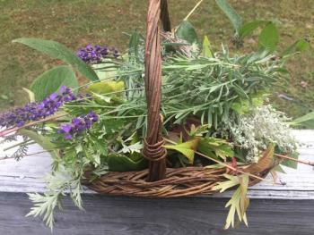A basket of rosemary, mugwort and lavender. LISA KRISTOFF/Boothbay Register