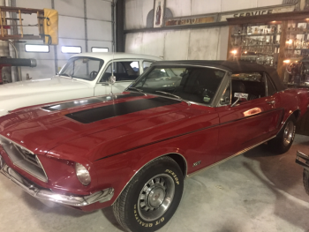 A 1968 Mustang – one of the dozens of antique autos on display at Boothbay Railway Village Museum