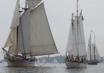 Schooners Heritage, Eastwind and the Lewis R. French sailing in from the past. File photo