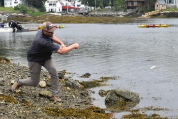 Rock skipper. File photo