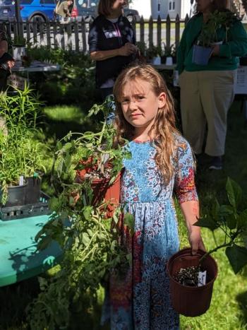 A young gardener collects vegetables for her plot. CANDI JONETH/Boothbay Register