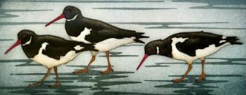 Kathleen Buchanan’s “Oystercatcher Trio” - collagraph print. Courtesy of Kerr+Jones Gallery Kathleen Buchanan