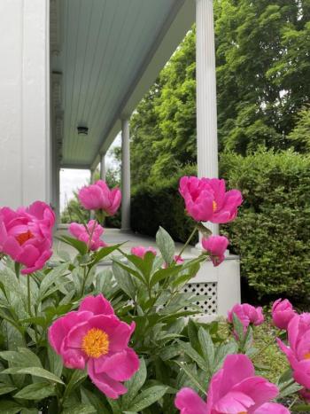 Wiscasset Homes on Tour’s collection of fascinating homes and abundant gardens tells the story of life in early Wiscasset. Courtesy of Wiscasset Creative Alliance
