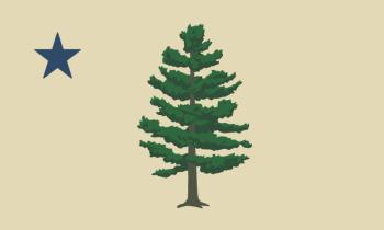 The alternative Maine state flag on the ballot for 2024. 