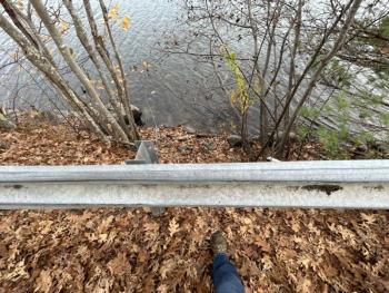 Adams Pond Road