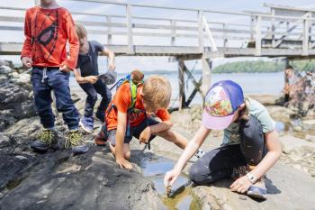 Students explore the tide pools on a field trip to Plummer Point Preserve in South Bristol, one of the properties Coastal Rivers conserves for public benefit. Courtesy of Coastal Rivers Coastal Rivers kids