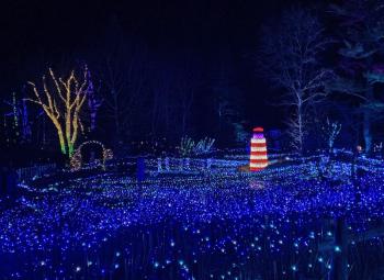 Gardens Aglow. STEVE EDWARDS/Boothbay Register