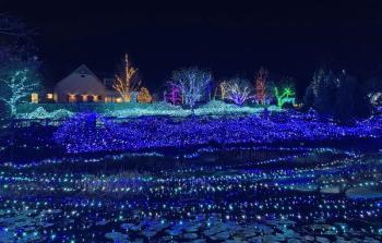 Gardens Aglow. STEVE EDWARDS/Boothbay Register