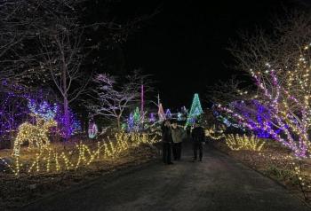 Gardens Aglow. STEVE EDWARDS/Boothbay Register