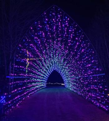 Gardens Aglow. STEVE EDWARDS/Boothbay Register
