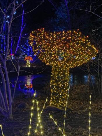 Gardens Aglow. STEVE EDWARDS/Boothbay Register
