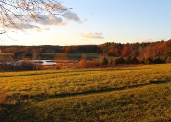 Salt Bay Farm