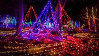 ISO 800 1/40th - f/5.6 - This shot was underexposed to capture all of the tonality - in auto mode the lights would have been blown out. I wanted to see detail on the structure and the colors of the lights and underexposing this allow for that. Michael Leonard photo Cell phone at Gardens Aglow