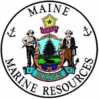DMR logo