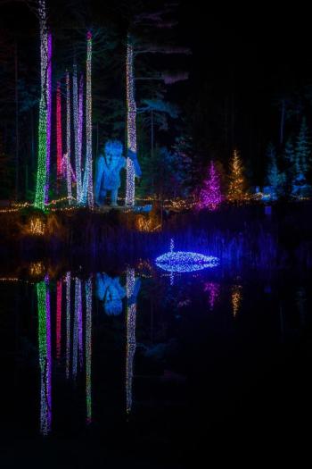Gardens Aglow. Mike Leonard photo