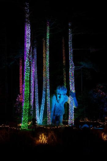 Gardens Aglow. Mike Leonard photo