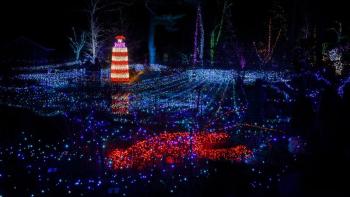 Gardens Aglow. Mike Leonard photo