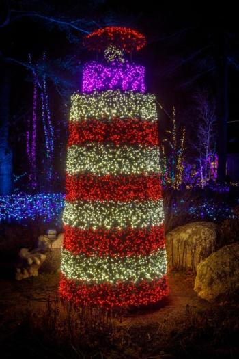 Gardens Aglow. Mike Leonard photo