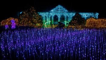 Gardens Aglow. Mike Leonard photo