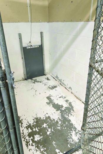 An interior kennel. Midcoast Humane photo