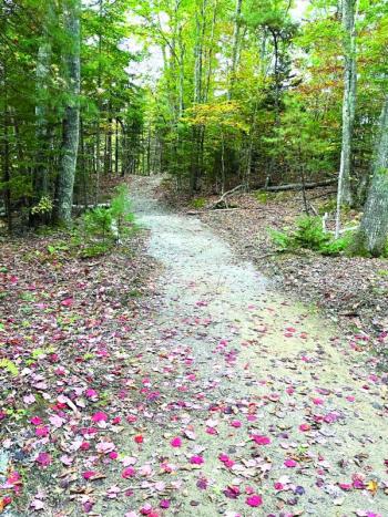 The Boothbay region school trail project made significant strides this year. Courtesy Larry Brown The Boothbay region school trail project made significant strides this year. Courtesy Larry Brown