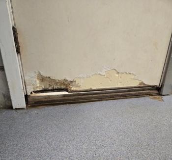 Door chewed by marsh rats. Midcoast Humane photo