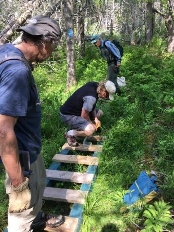 Bridge building at Burkett Mills Preserve in Waldoboro. Courtesy of Midcoast Conservancy