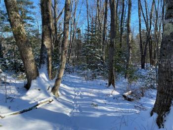 Enjoy a wintry naturalist-led hike at the Hilton O’Connor Preserve in Bremen. Courtesy of Coastal Rivers