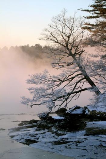STEVE EDWARDS/Boothbay Register