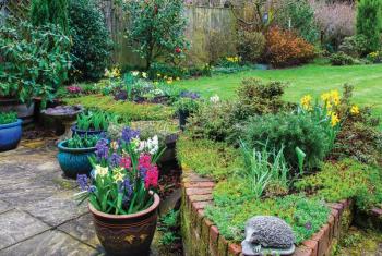 Gardening can be less labor-intensive and even more successful when people consider the many benefits of container gardening.