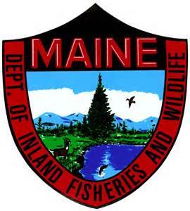 Maine Inland Fisheries and Wildlife patch