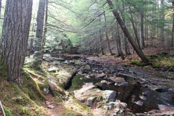 The new preserve includes over 1,600 feet of stream frontage along Deer Meadow Brook, which connects to the Sheepscot River via Marsh River. Courtesy of Coastal Rivers The new preserve includes over 1,600 feet of stream frontage along Deer Meadow Brook, which connects to the Sheepscot River via Marsh River. Courtesy of Coastal Rivers