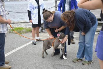 Bleu the dog hypes up attendees before the event. ISABELLE CURTIS/Boothbay Register