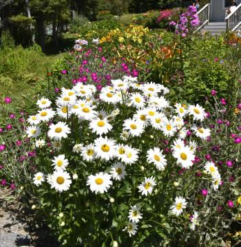  LISA KRISTOFF/Boothbay Register 