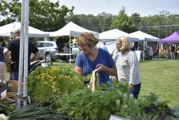 Boothbay's Farmers' Market was busier than usual July 3 as locals and tourists prepared for the upcoming weekend festivities. ISABELLE CURTIS/Boothbay Register
