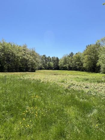 Autumn View open house takes place July 15 from 10am-2pm, offering the public a chance to view and learn more about this exciting new nature preserve. Courtesy of BRLT